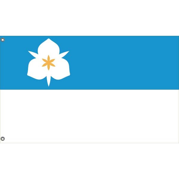 Salt Lake City Flag