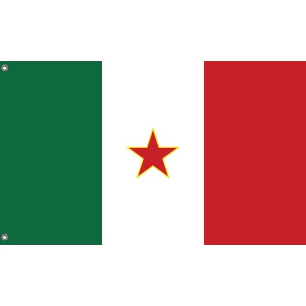 Brigate Garibaldi Partisans Flag