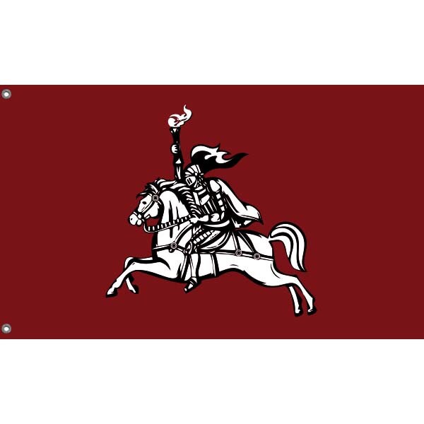 Historical Vytis Horseman Flag VIII