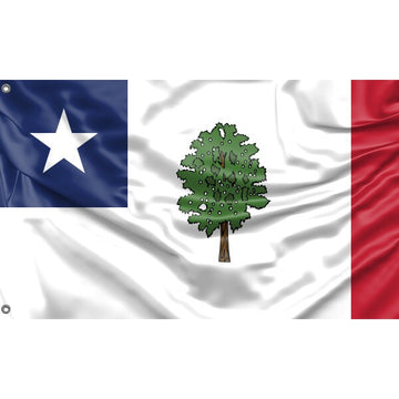 Mississippi 1861 Magnolia Flag - Flag Republic