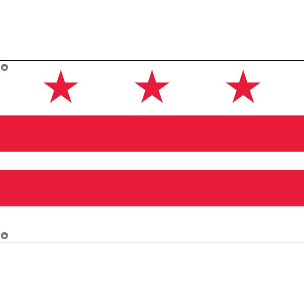 Washington City Flag