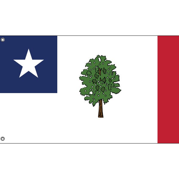 Mississippi 1861 Magnolia Flag - Flag Republic