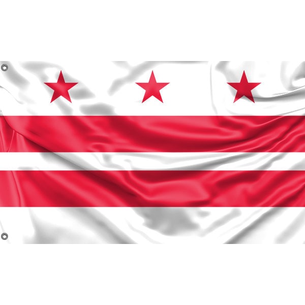 Washington City Flag