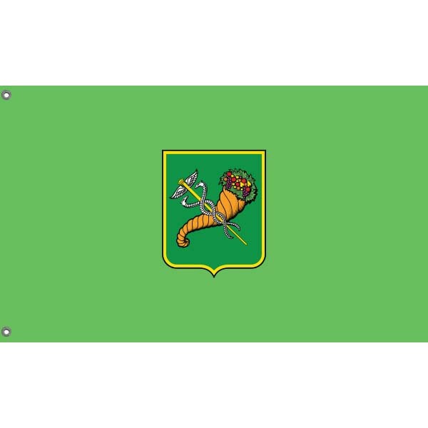 Kharkiv City Flag