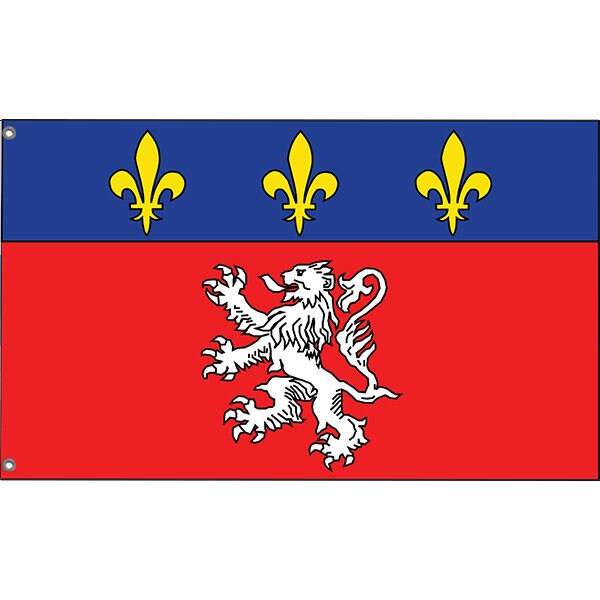 Lyon, France Flag