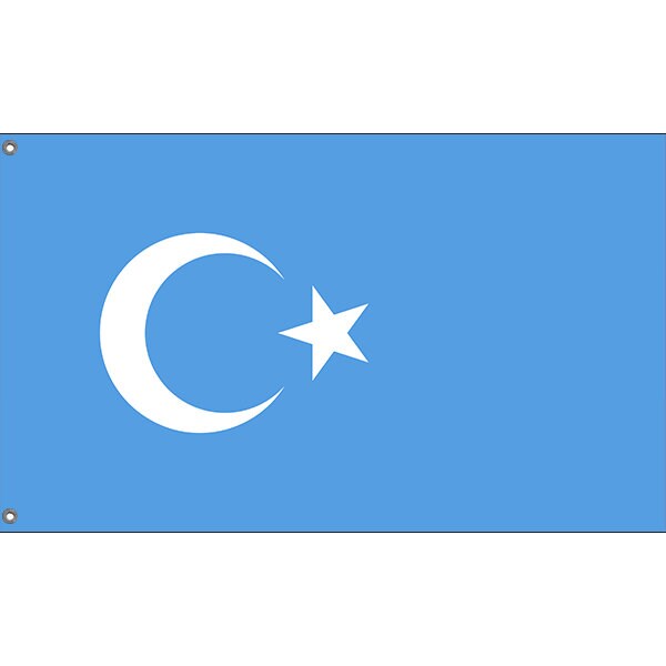 Kokbayraq Uyghurs Flag