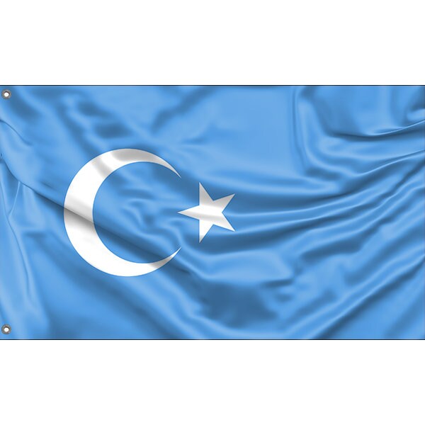 Kokbayraq Uyghurs Flag