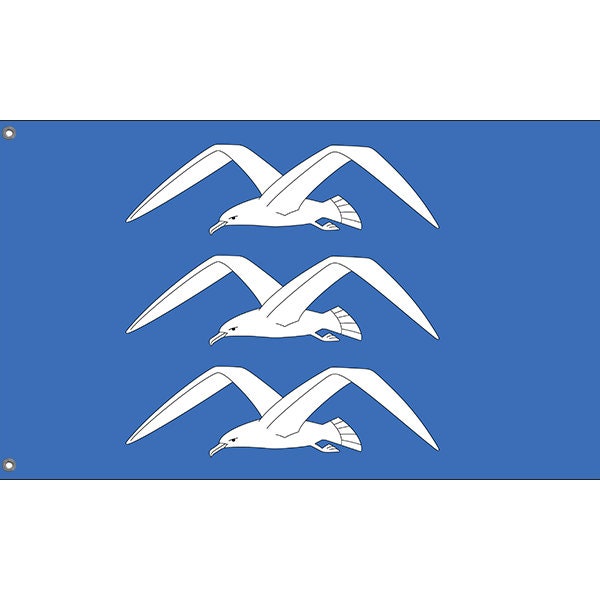 Haugesund, Norway Flag