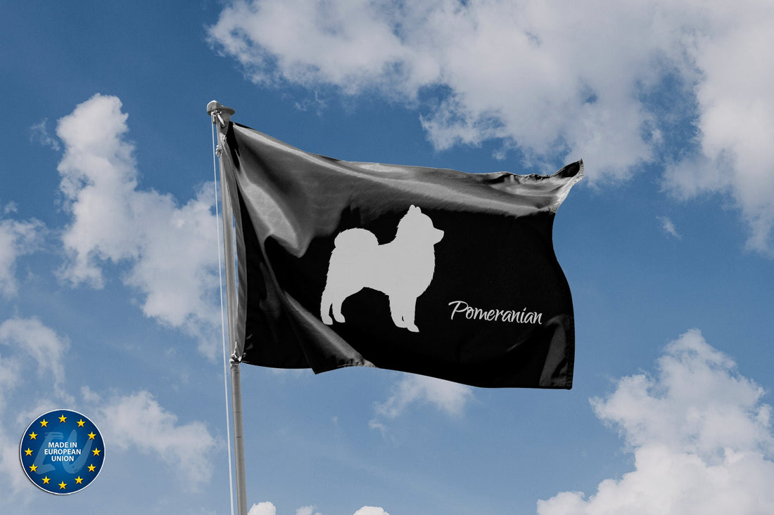 Flag of Dog, Pomeranian