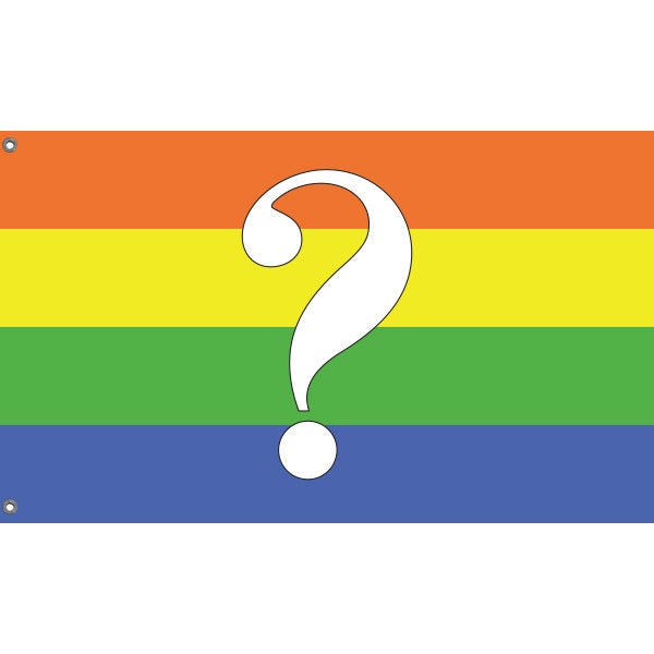 Questioning Pride Flag - Flag Republic