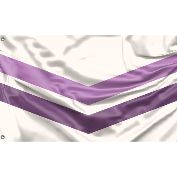 Queer Pride With Chevron Flag