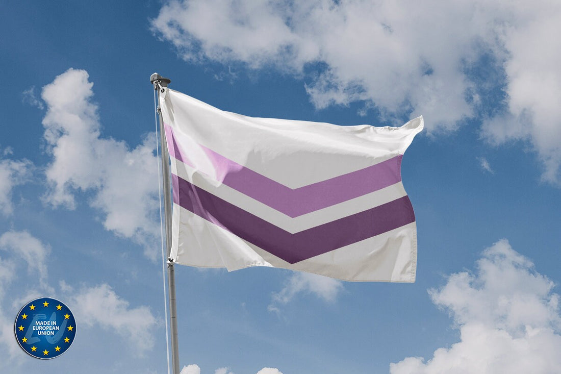 Queer Pride With Chevron Flag