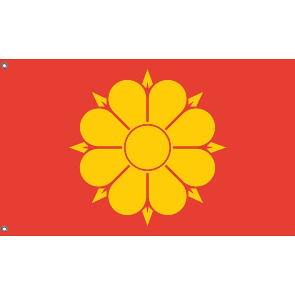 Flag of Trondheim, Norway