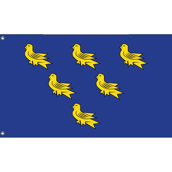 Flag of Sussex, UK