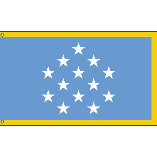 Medal of Honor Flag with Gold Fringe