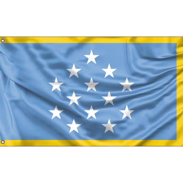 Medal of Honor Flag with Gold Fringe