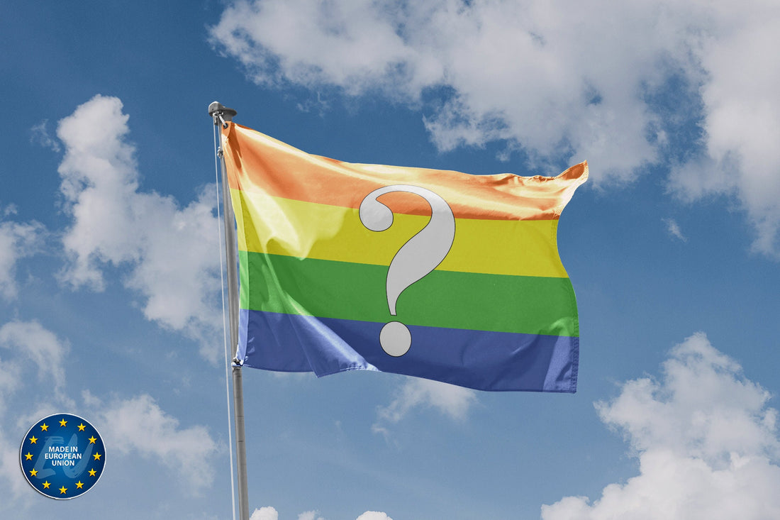 Questioning Pride Flag - Flag Republic