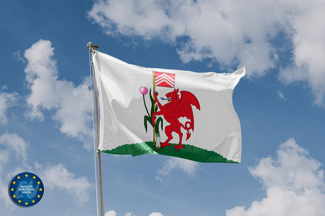 Flag of Cardiff