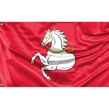 Flag of Pardubice