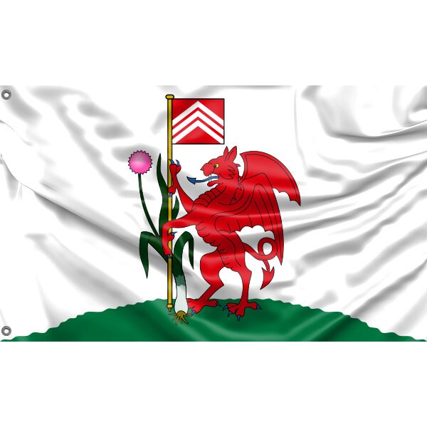 Flag of Cardiff