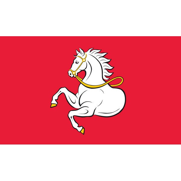 Flag of Pardubice