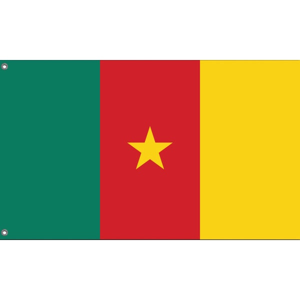 Republic of Cameroon Flag