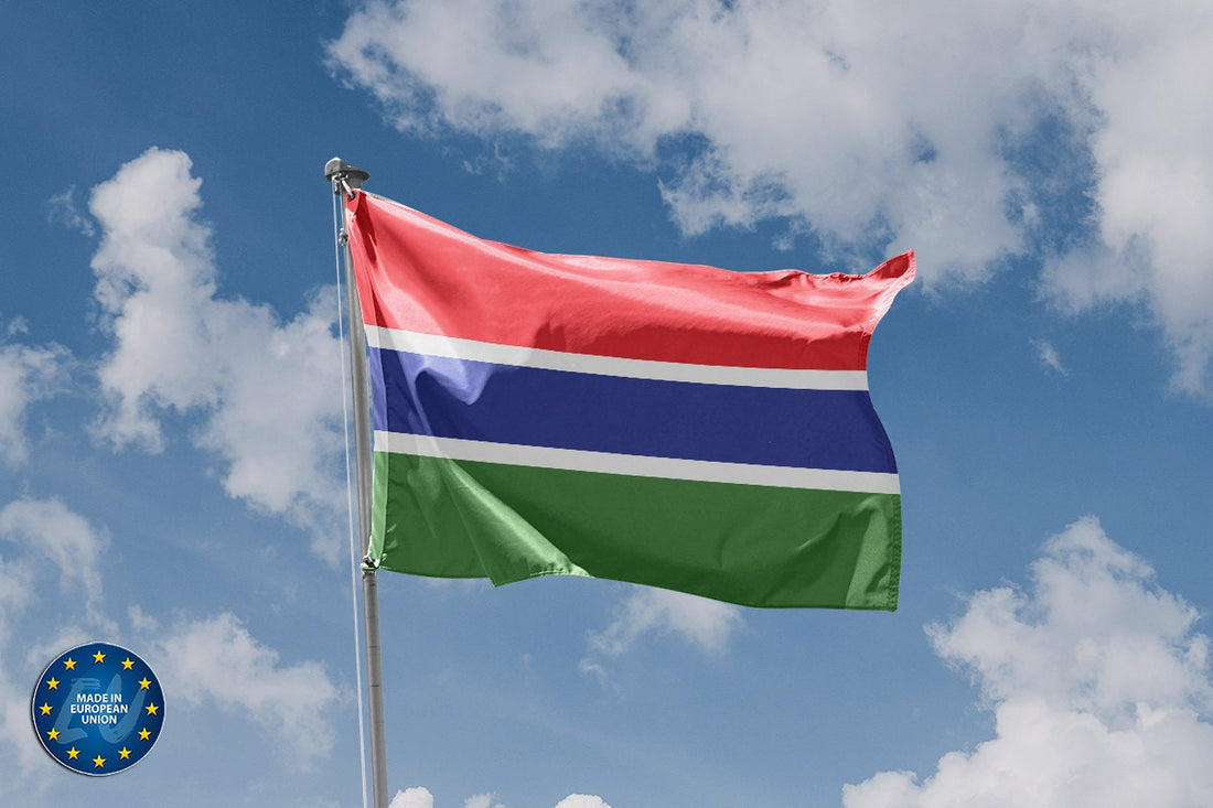 Flag of The Gambia