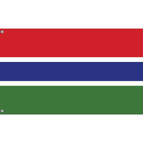 Flag of The Gambia