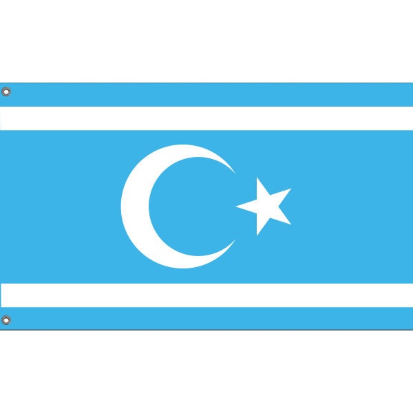 Flag of Turkmeneli - Flag Republic