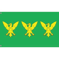 Flag of Caernarfonshire - Flag Republic