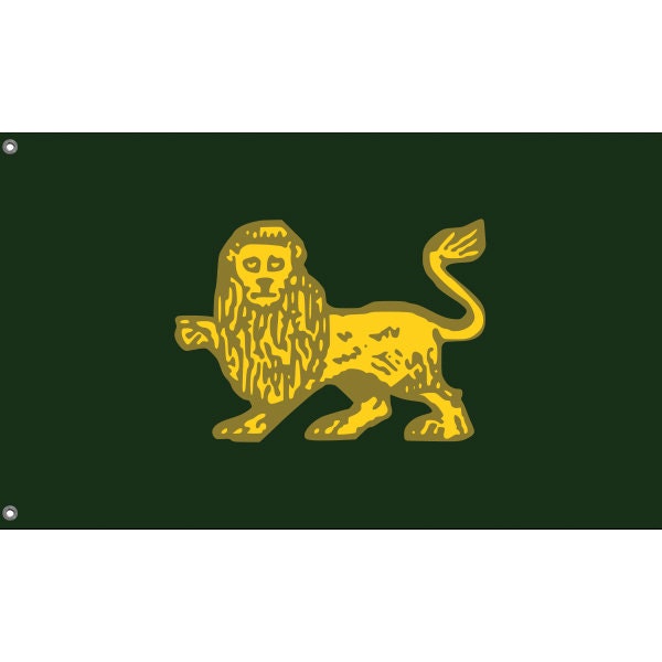 Ghazanavid Empire (1002-1031) Flag