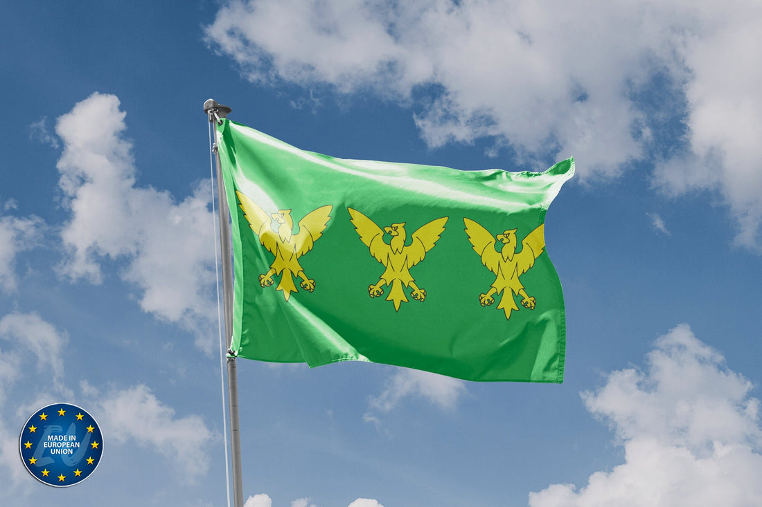 Flag of Caernarfonshire - Flag Republic