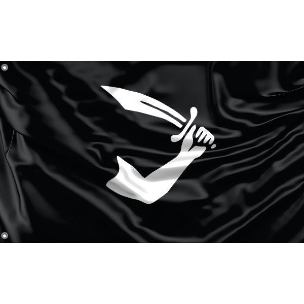 Thomas Tew Pirate Flag - Flag Republic